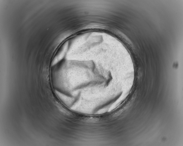 X0000100961321200807221136