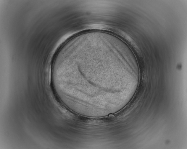 X0000100961323200807221136