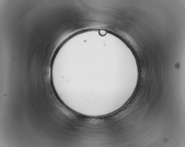 X0000100961324200807221136