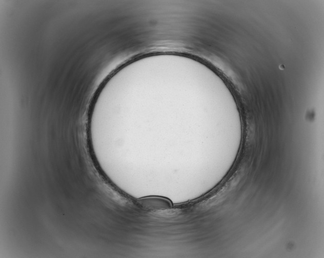 X0000100961325200807221136