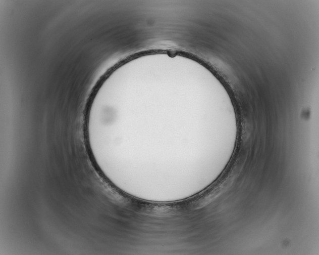 X0000100961326200807221136