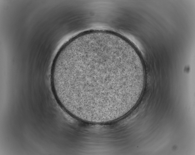 X0000100961327200807221136