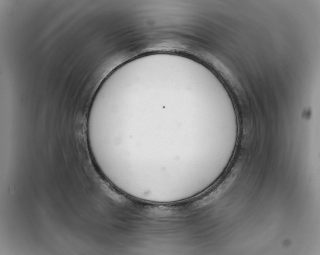 X0000100961329200807221136