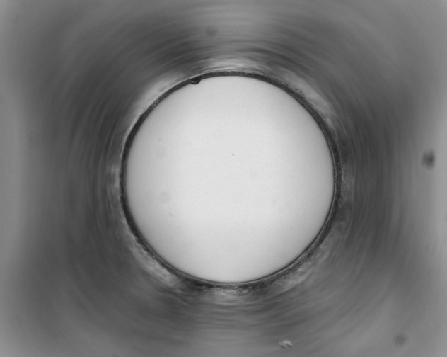 X0000100961330200807221136