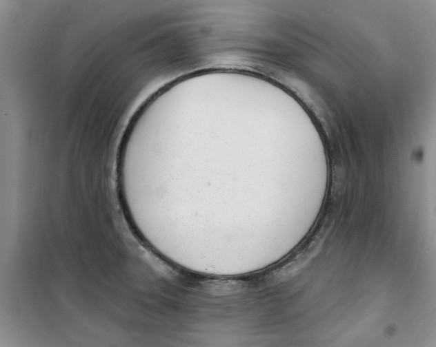 X0000100961331200807221136