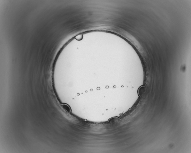 X0000100961332200807221136