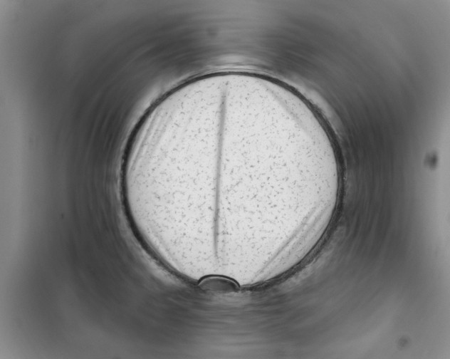 X0000100961333200807221136