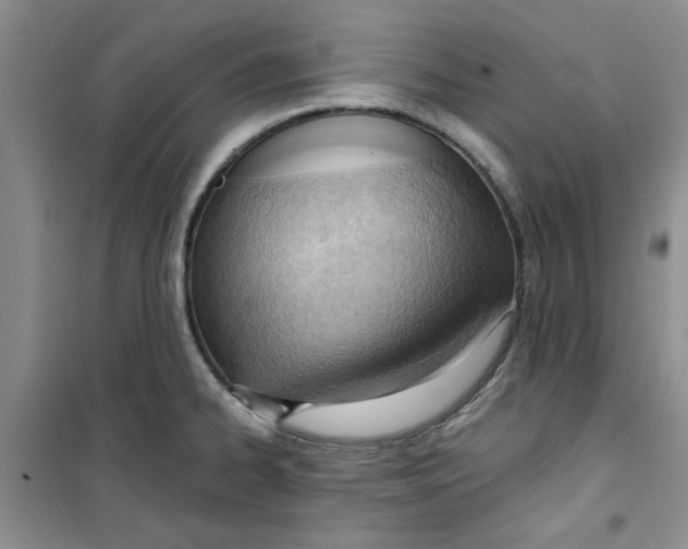 X0000100961334200807221136