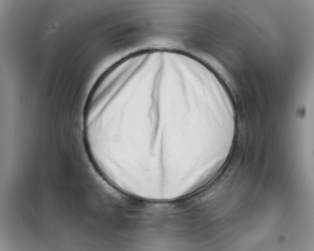 X0000100961335200807221136