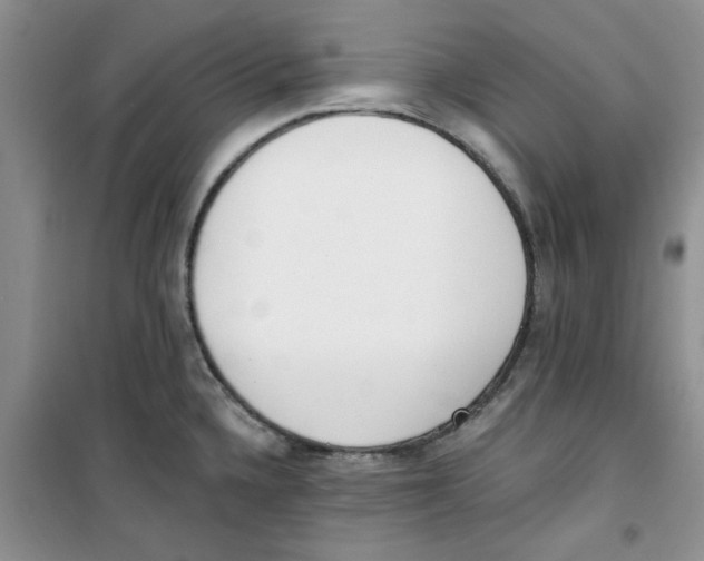 X0000100961336200807221136