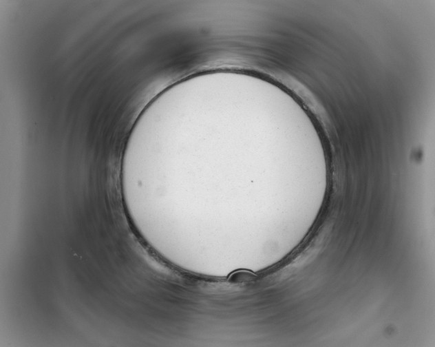 X0000100961337200807221136