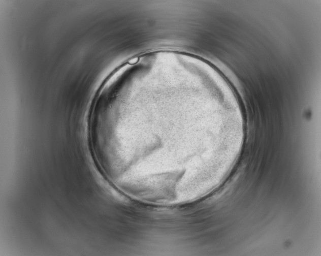 X0000100961341200807221136