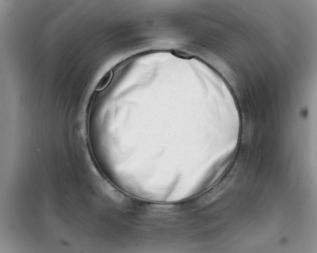 X0000100961342200807221136