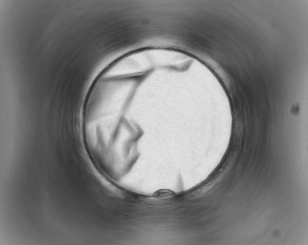 X0000100961343200807221136