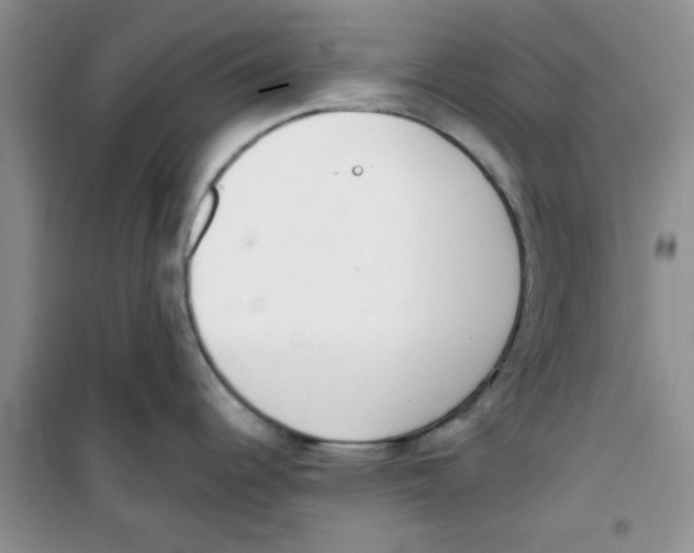 X0000100961344200807221136