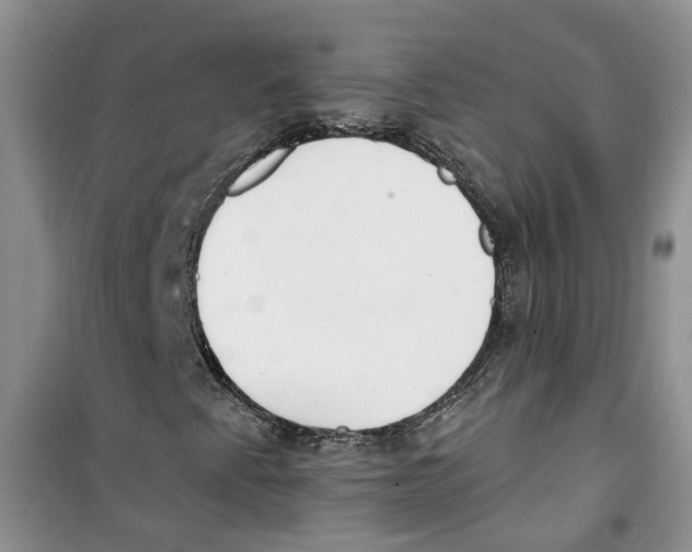 X0000100961345200807221135