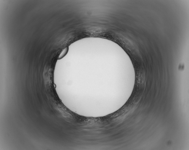 X0000100961346200807221135