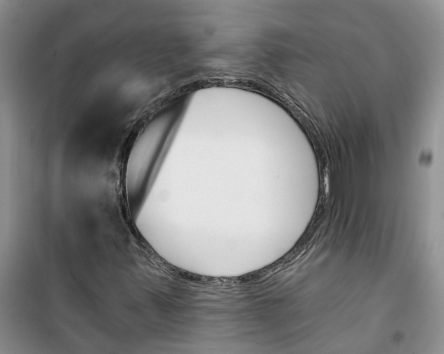 X0000100961347200807221135