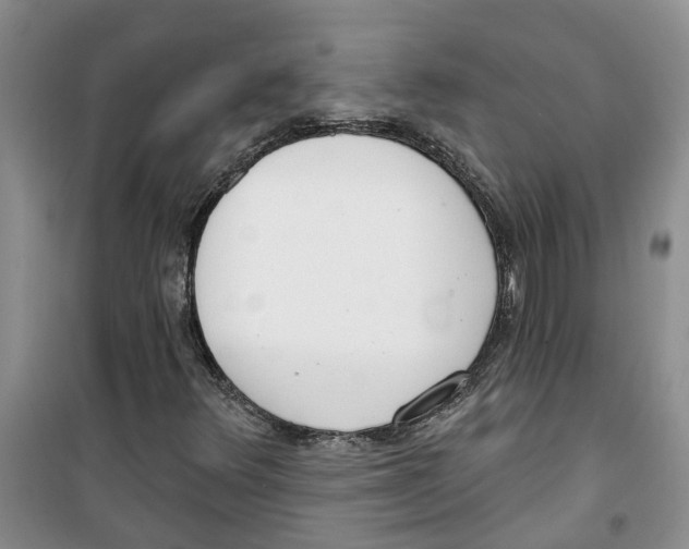 X0000100961348200807221135