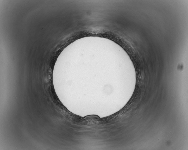 X0000100961349200807221135