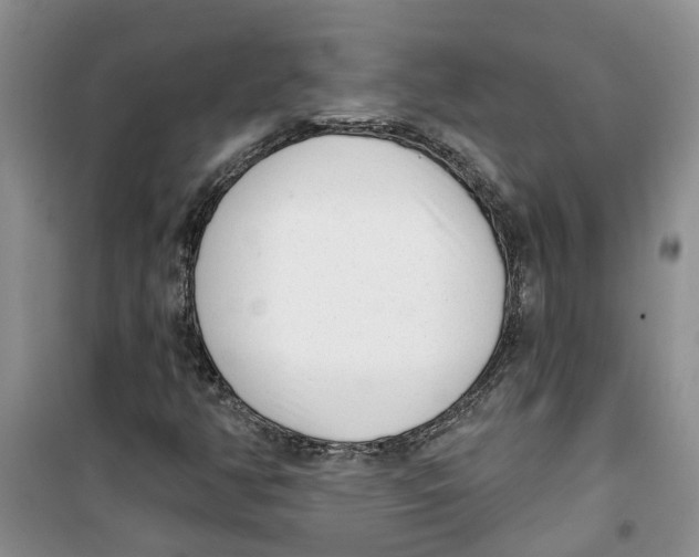 X0000100961350200807221135