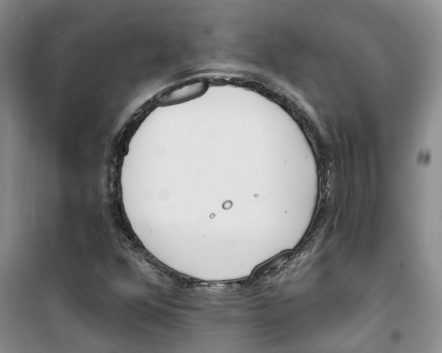 X0000100961352200807221135