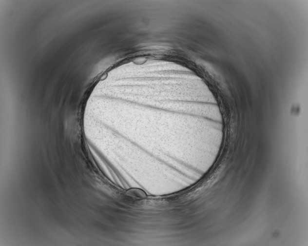 X0000100961354200807221135