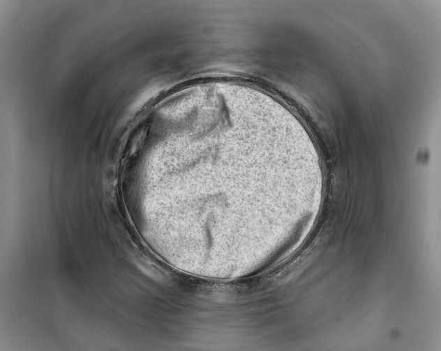 X0000100961355200807221135