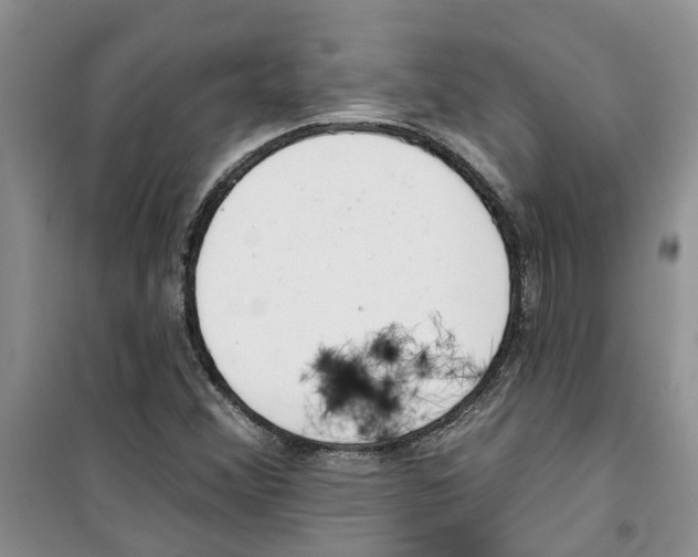 X0000100961356200807221135