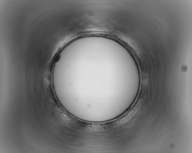 X0000100961357200807221135