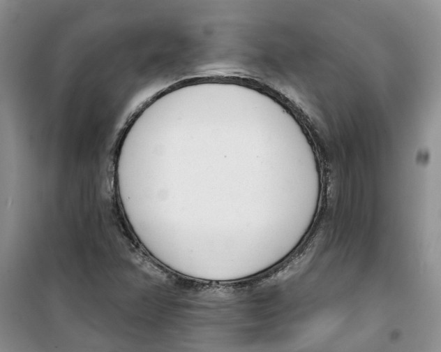 X0000100961358200807221135