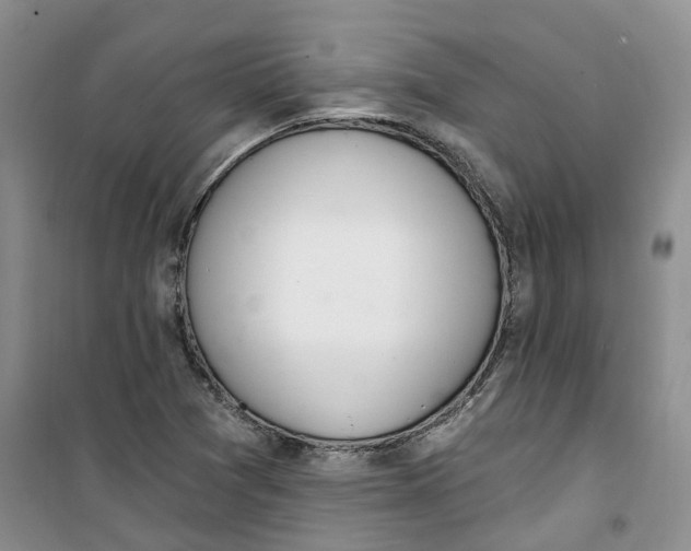 X0000100961361200807221135