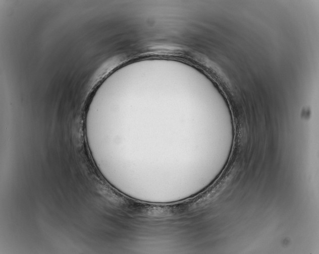 X0000100961362200807221135