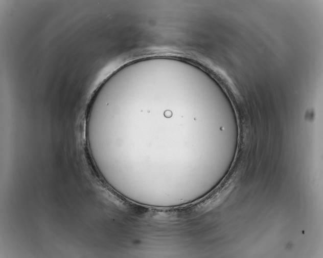 X0000100961365200807221135