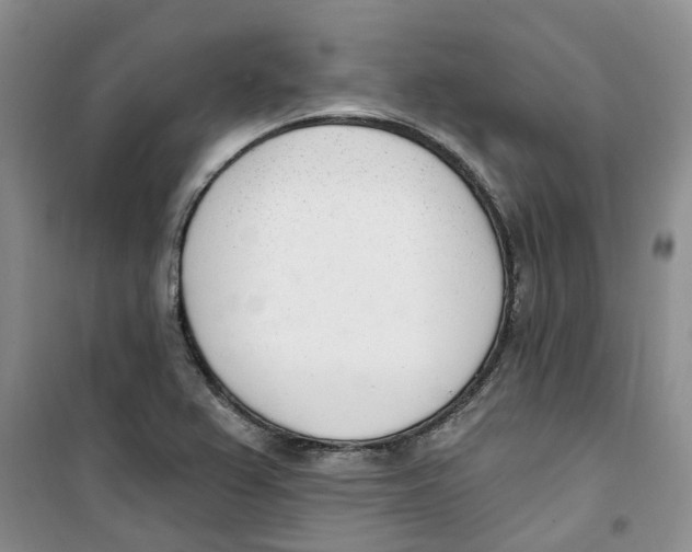 X0000100961367200807221135