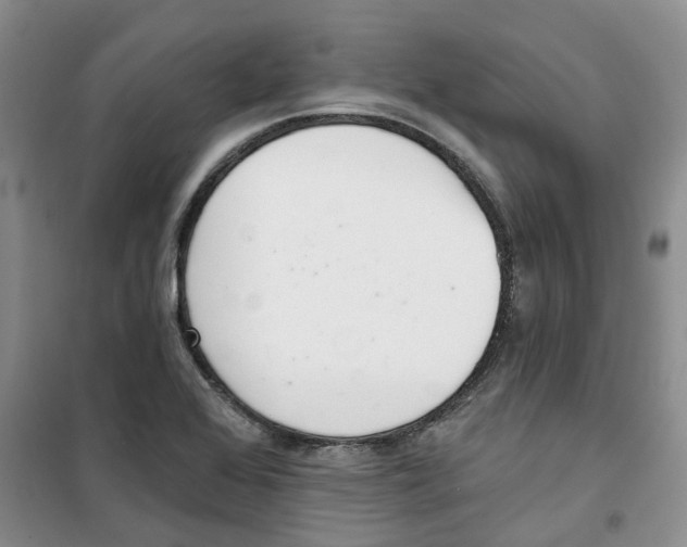 X0000100961368200807221135