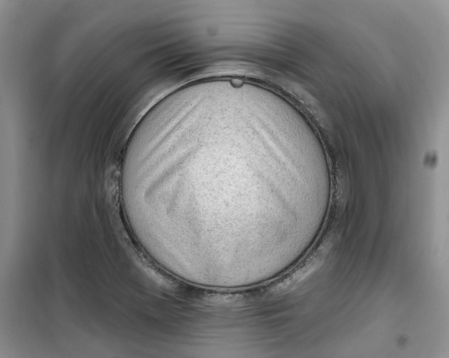 X0000100961369200807221135