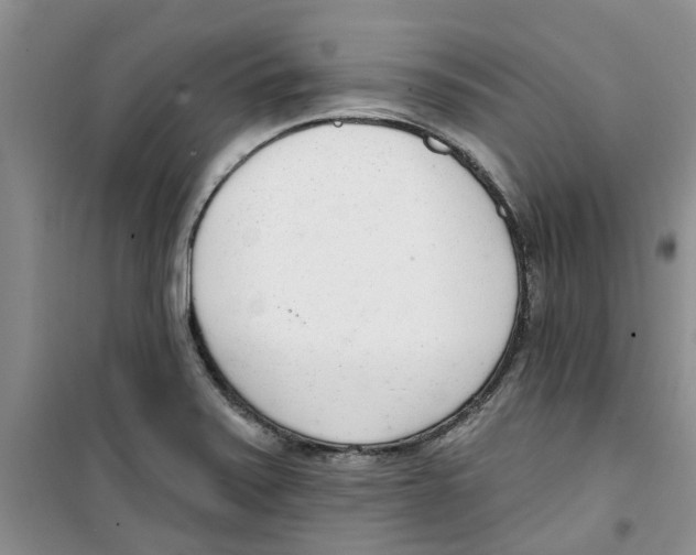 X0000100961371200807221135