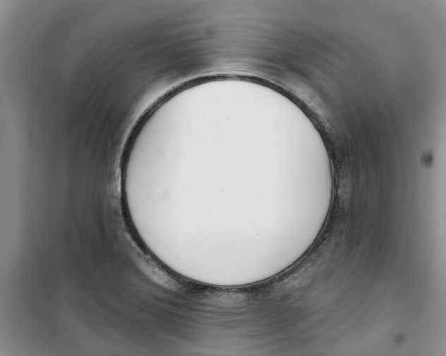 X0000100961372200807221135