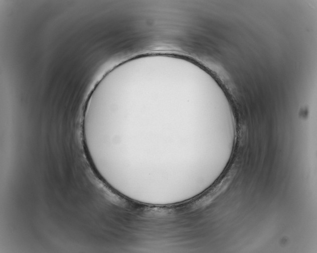 X0000100961374200807221135