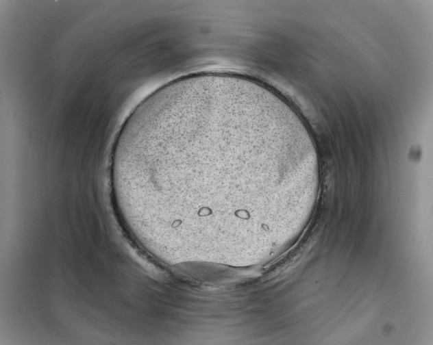 X0000100961375200807221135