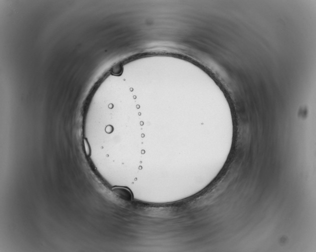 X0000100961376200807221135