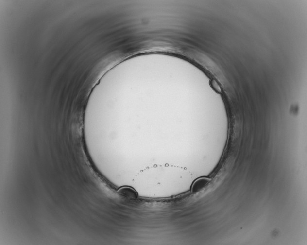 X0000100961377200807221135