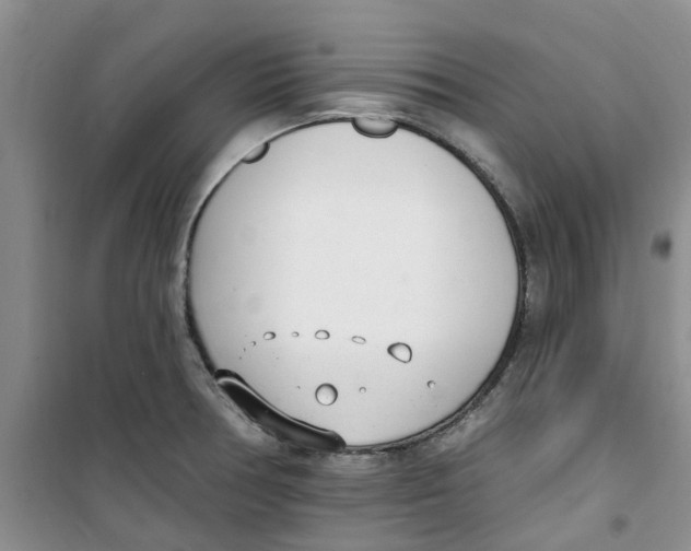 X0000100961378200807221135