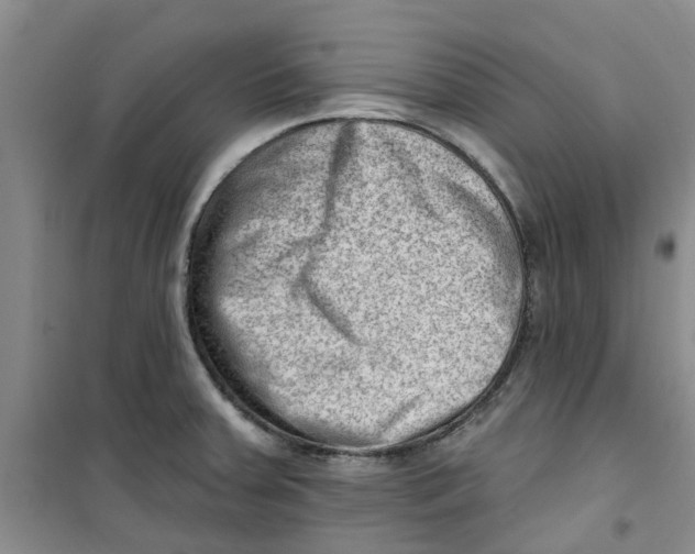 X0000100961379200807221135