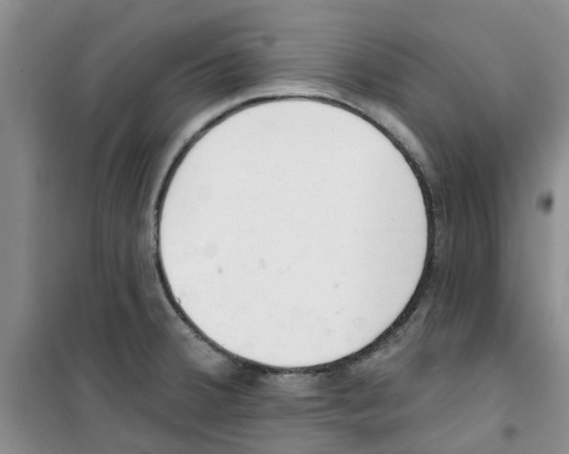 X0000100961380200807221135