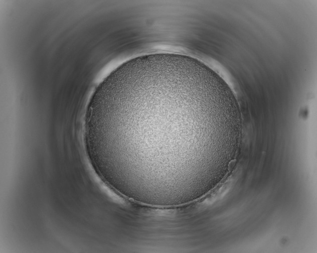 X0000100961381200807221135