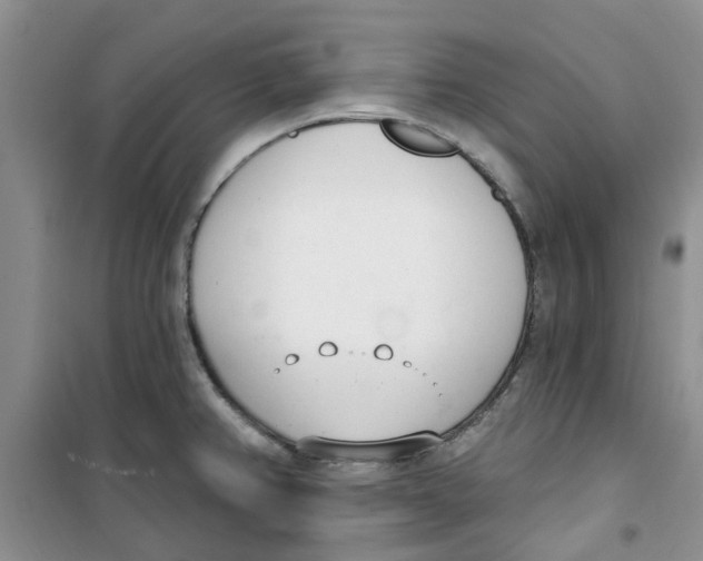 X0000100961382200807221135