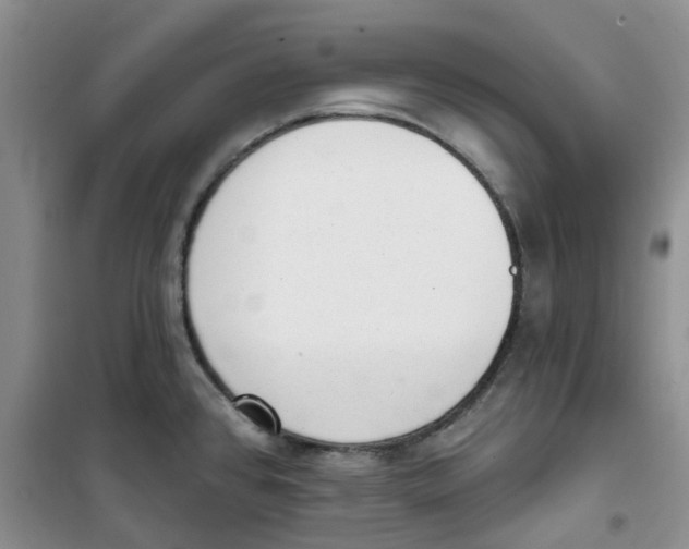 X0000100961384200807221135