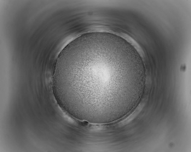 X0000100961385200807221135